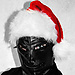 user_515452_avatar.jpg