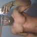 user_517567_avatar.JPG