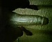 user_523488_avatar.jpg
