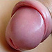 user_525837_avatar.jpg
