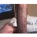 user_538519_avatar.gif