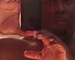 user_553004_avatar.jpg