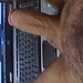 user_576259_avatar.JPG