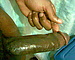 user_581824_avatar.jpg