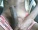 user_593944_avatar.jpg