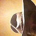 user_609461_avatar.jpg