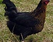 user_614773_avatar.jpg