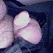 user_653900_avatar.jpg