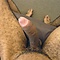 user_68665_avatar.JPG