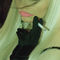 user_76499_avatar.jpg