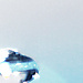 user_78247_avatar.jpg